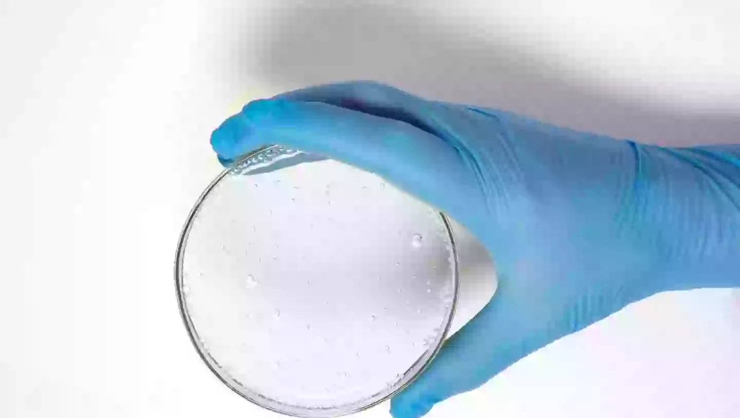 The new discovery could reshape our understanding of cellular evolution (Getty Stock Image)