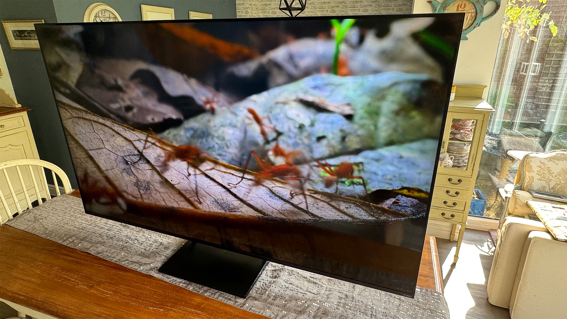 LG 65QNED93 LCD TV on wooden dining table, on screen are insects