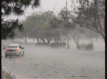 Rainstorms claim three lives, injure 22 across Punjab