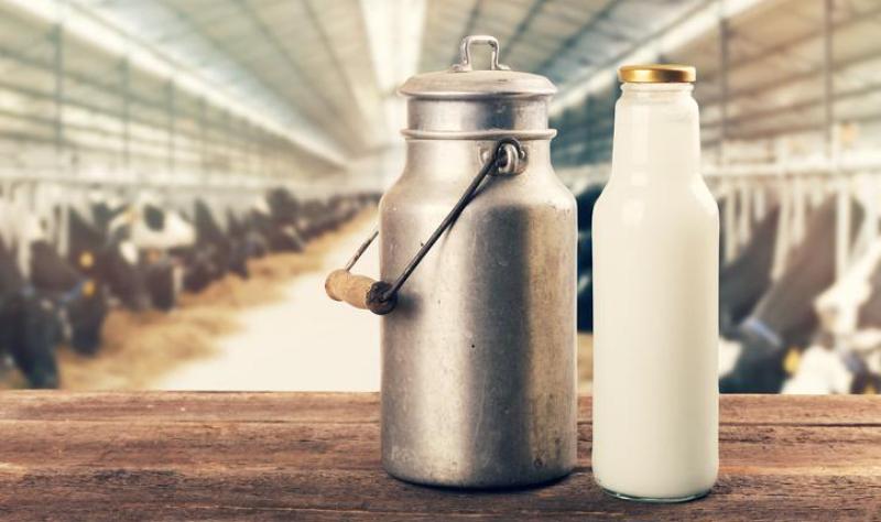 Report describes large Salmonella outbreak tied to raw milk