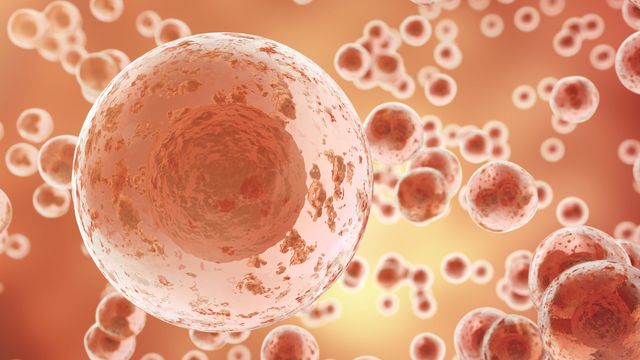 Respiratory Viruses May Awaken Dormant Breast Cancer