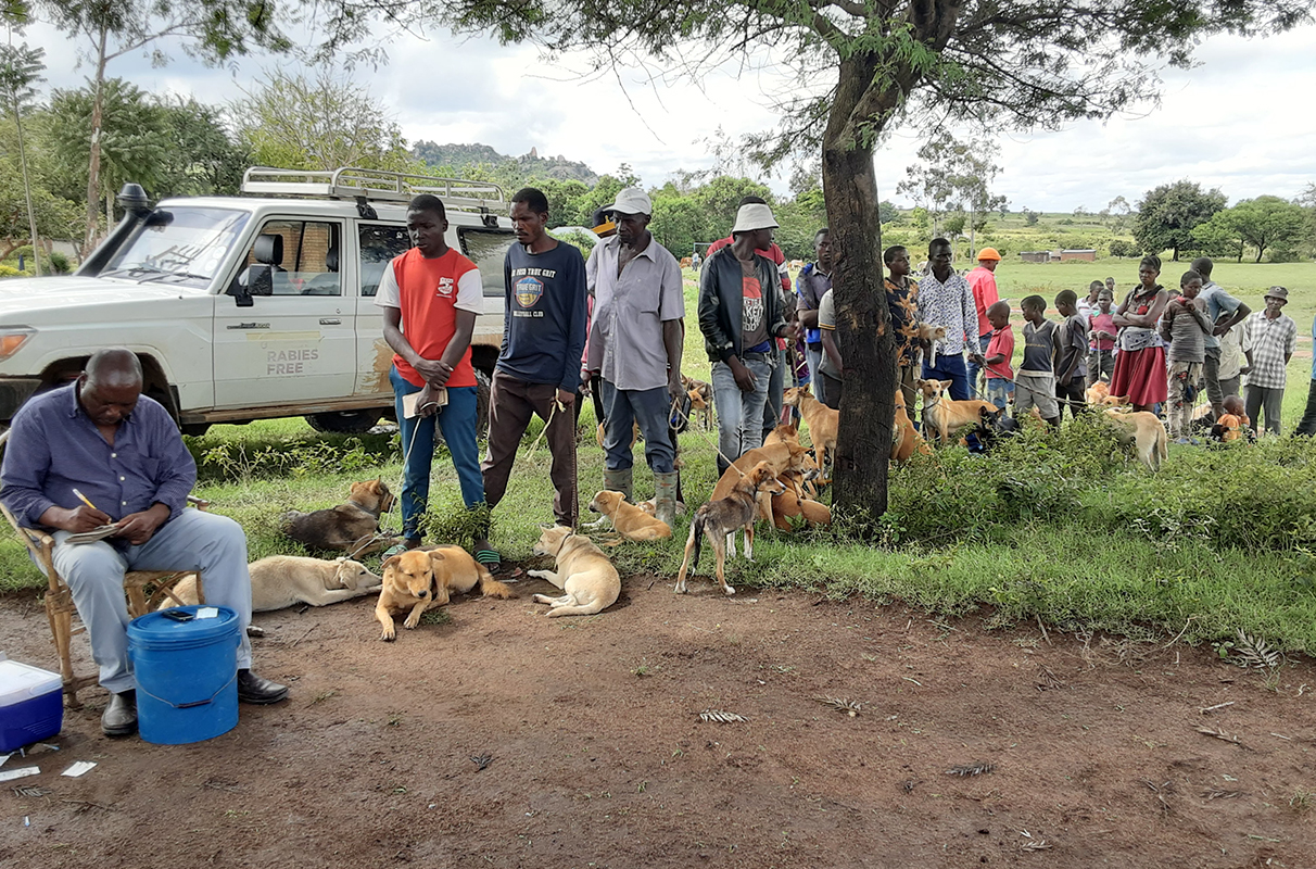 Rotary club partners with WSU’s rabies control program | WSU Insider