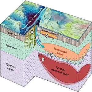 Schematic interpretation of electrical resistivity models in the context of the Gofar transform fault. 1) Results indicate that there is intensified fracturing along the fault plane of the transform valley. 2) Enhanced permeability from the fracturing along with a heat source in the uppermost mantle have driven deep fluid flow. 3) Melt may migrate into the transform domain or be injected into the uppermost lithosphere from the main branch of the EPR south of Gofar. 4) Hydrothermal circulation leads to phase separation and condensation of brines in the crust. Credit: Science Advances (2025)