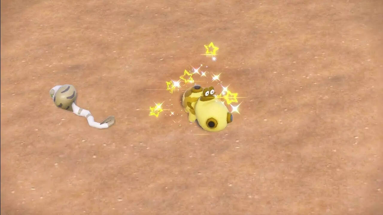 Shiny Hippopotas