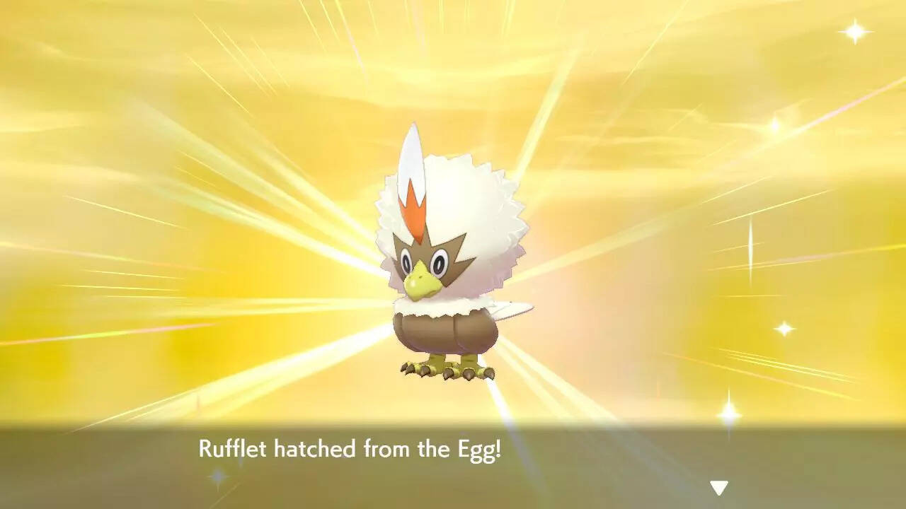 Shiny Rufflet in the main series
