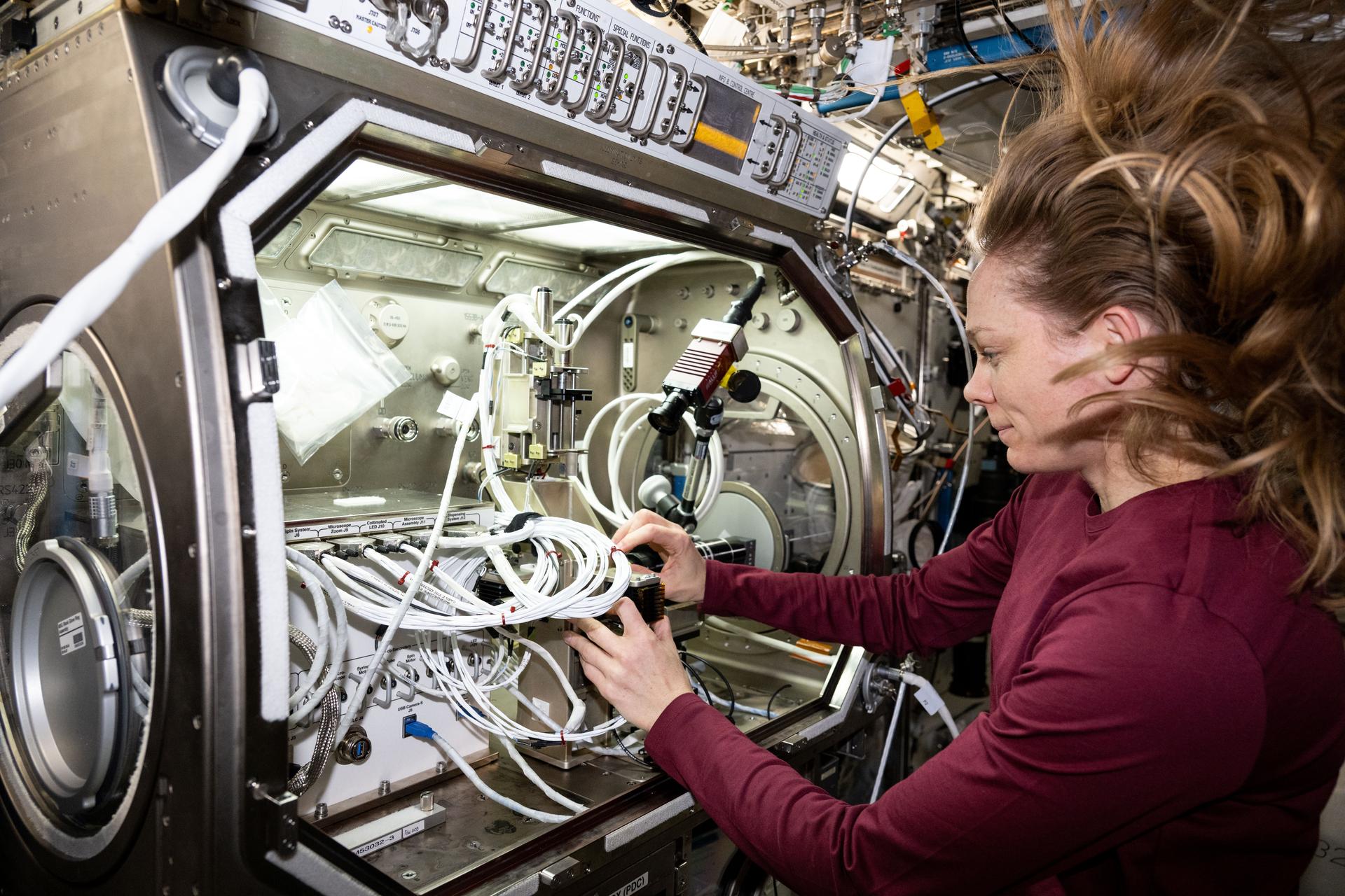 NASA astronaut Nichole Ayers works on experiment in microgravity photo of the day for July 8, 2025