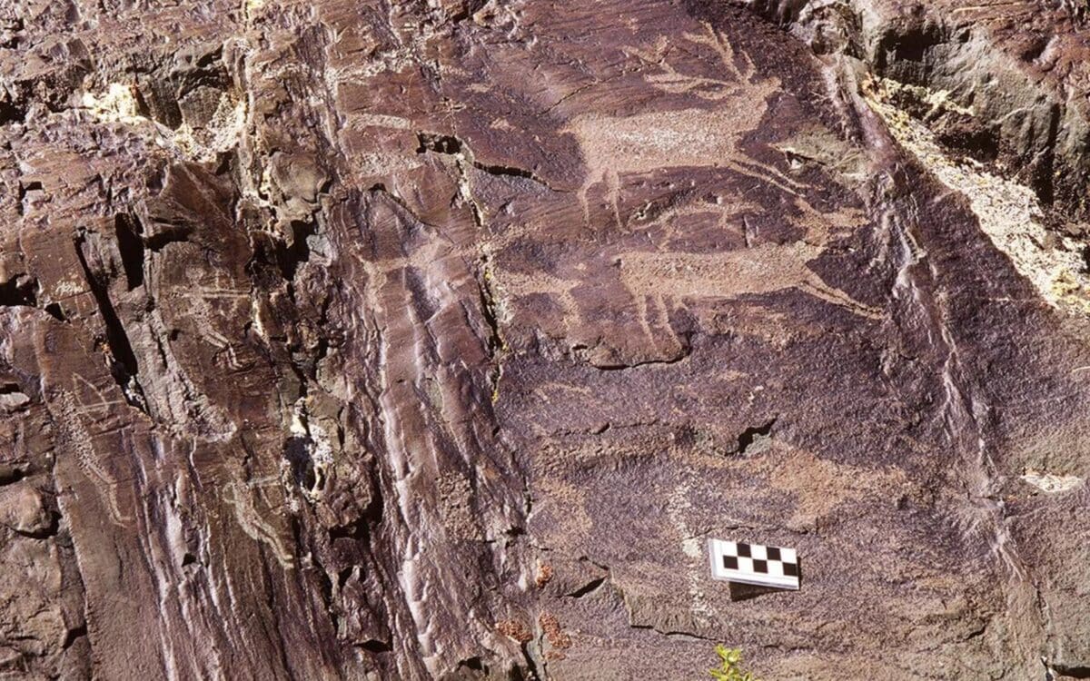 Two Elk And Three Hunters On A Vertical Surface. Bronze Age. Tsagaan Gol Complex. Credit Gary Tepfer, In Jacobson Tepfer, Cambridge Archaeological Journal (2025)