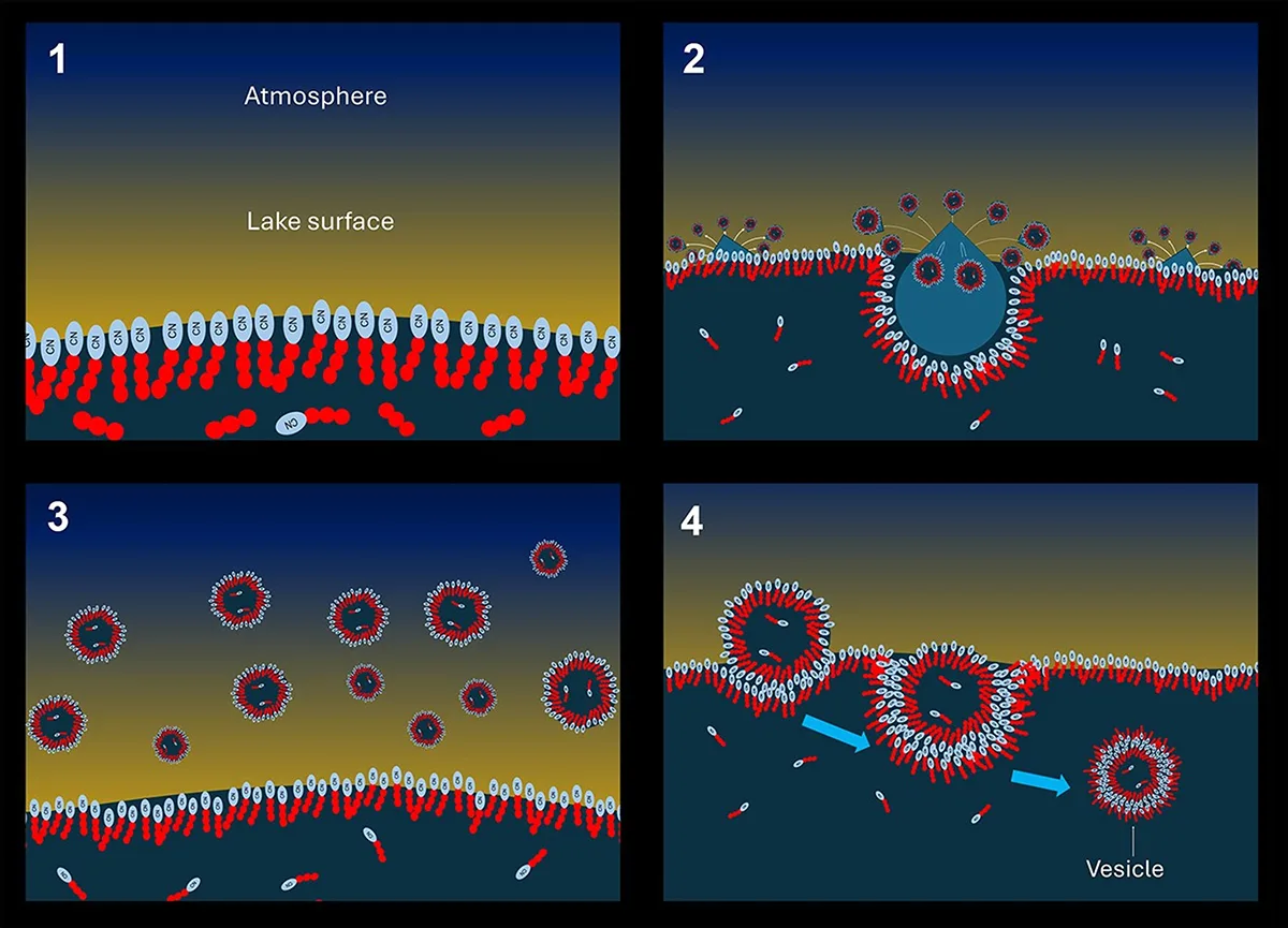 How vesicles might form on Titan. 1: Methane lakes and seas on Titan’s surface become coated with a film of amphiphiles. 2: Methane raindrops splash the lake surface. 3: Splashes create a mist of droplets coated in the same film. 4: Droplets settle back onto the lake and sink, becoming coated in a bilayer that becomes a vesicle. Credit: Christian Mayer (Universität Duisburg-Essen) and Conor Nixon (NASA Goddard)