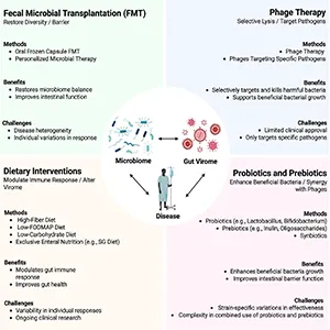 This infographic illustrates four major therapeutic approaches—fecal microbial transplantation (FMT), phage therapy, dietary interventions, and probiotics/prebiotics—that aim to restore gut health by modulating the microbiome and virome. Each strategy offers unique methods, benefits, and challenges in managing gastrointestinal disorders such as IBD, CRC, and CDI, highlighting the growing potential of virome-informed precision medicine. Credit: Precision Clinical Medicine