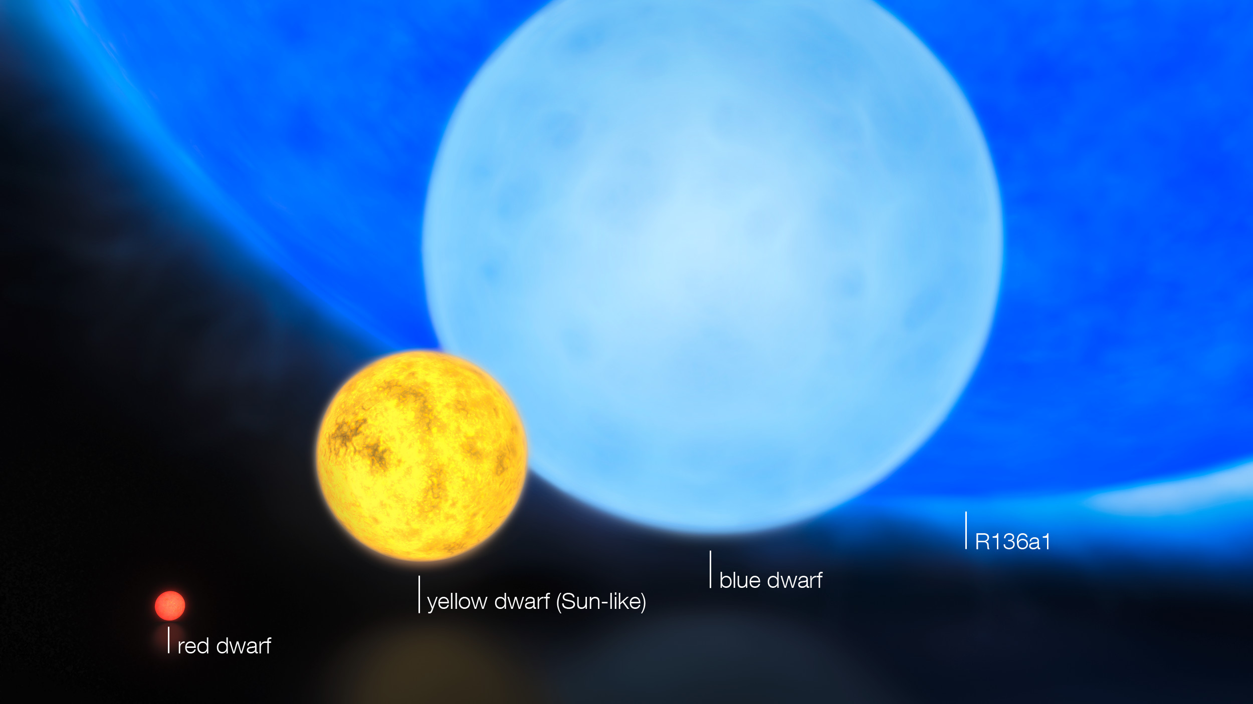 Four spheres of red, orange, light blue, and dark blue, increasing in size from left to right
