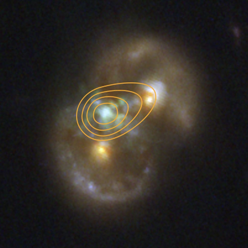 This JWST image of the Infinity galaxy shows contour maps from radio data from the Very Large Array (VLA). The center pinpoint of radio emission perfectly lines up with the center of the glowing gas detected in the infrared in between the two nuclei of the galaxies. The radio emissions from the SMBH indicate that it is actively accreting material and growing. Image Credit: NASA, ESA, CSA, STScI, VLA, P. van Dokkum (Yale University)