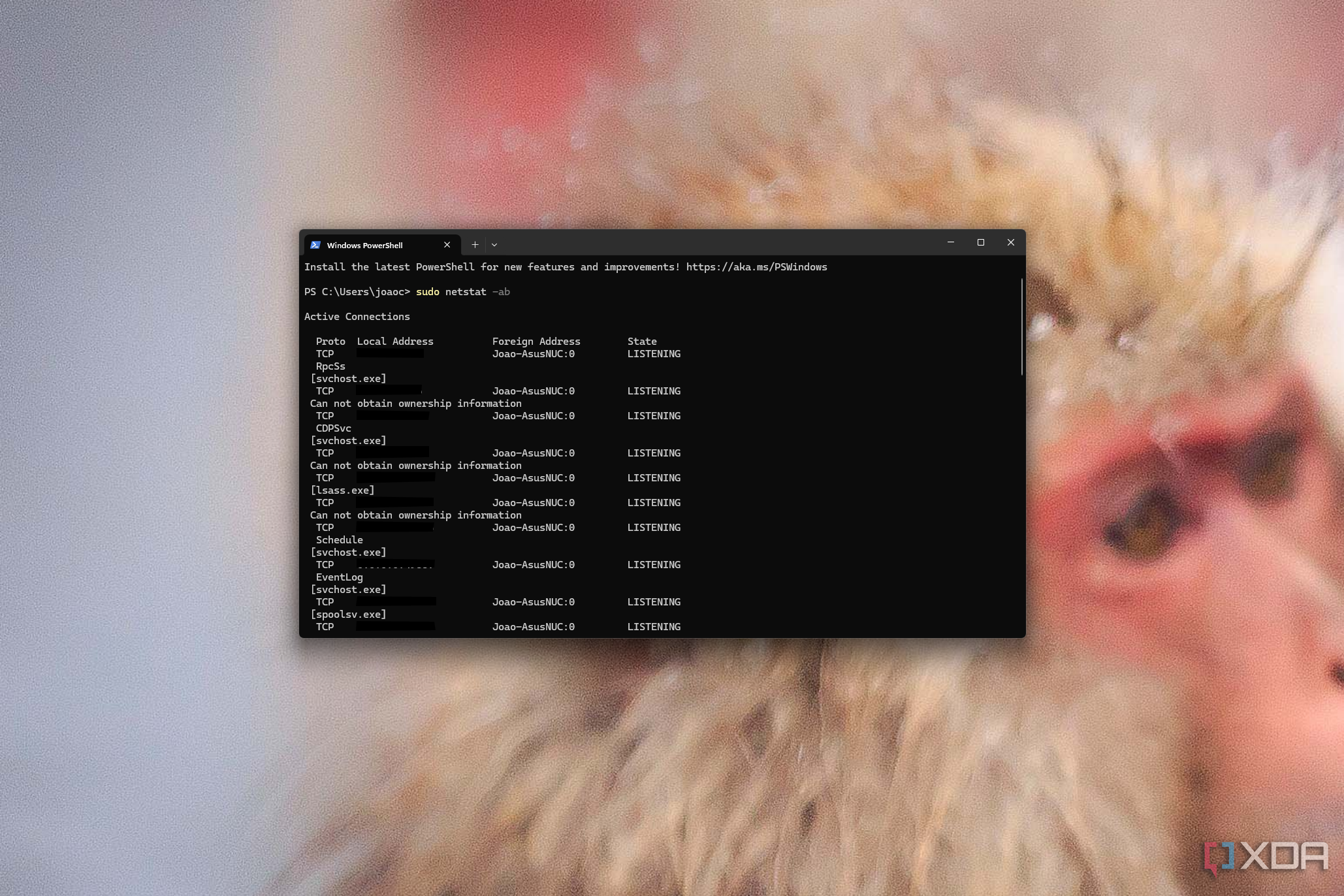 Screenshot of Windows terminal running an elevated command using sudo