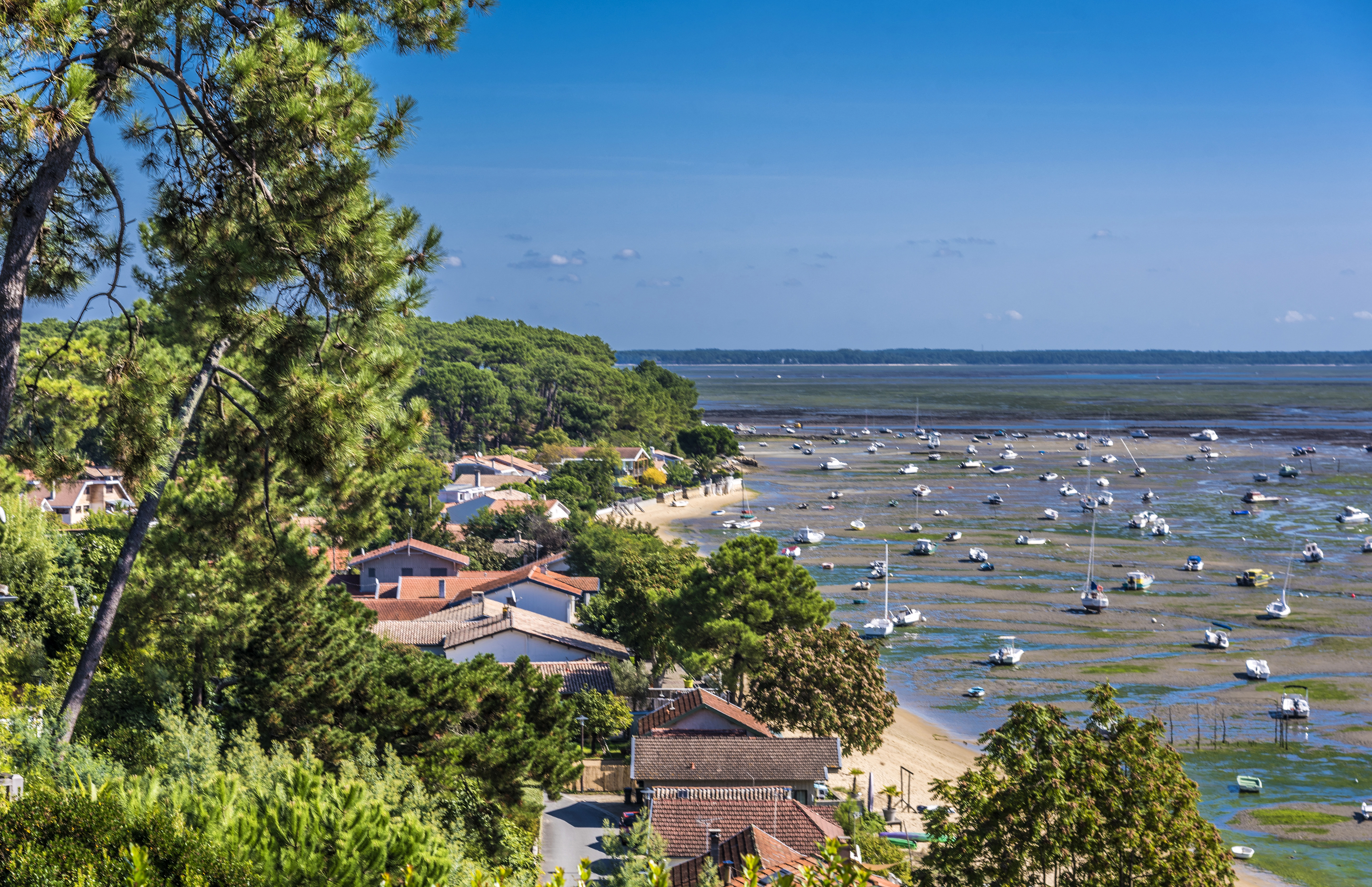 Coastal houses and boats at low tide in Cap-Ferret, France.