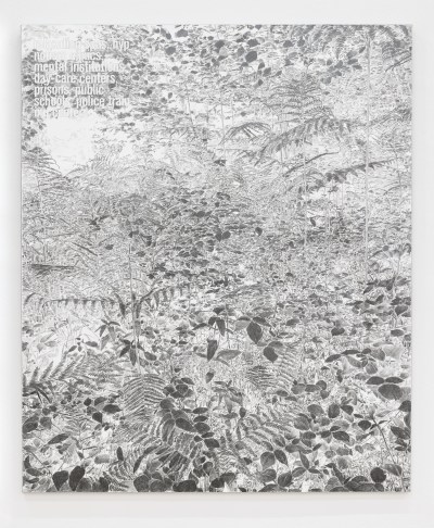 A large grey and white pencil drawing of ferns and plants with small illegible text in a corner.