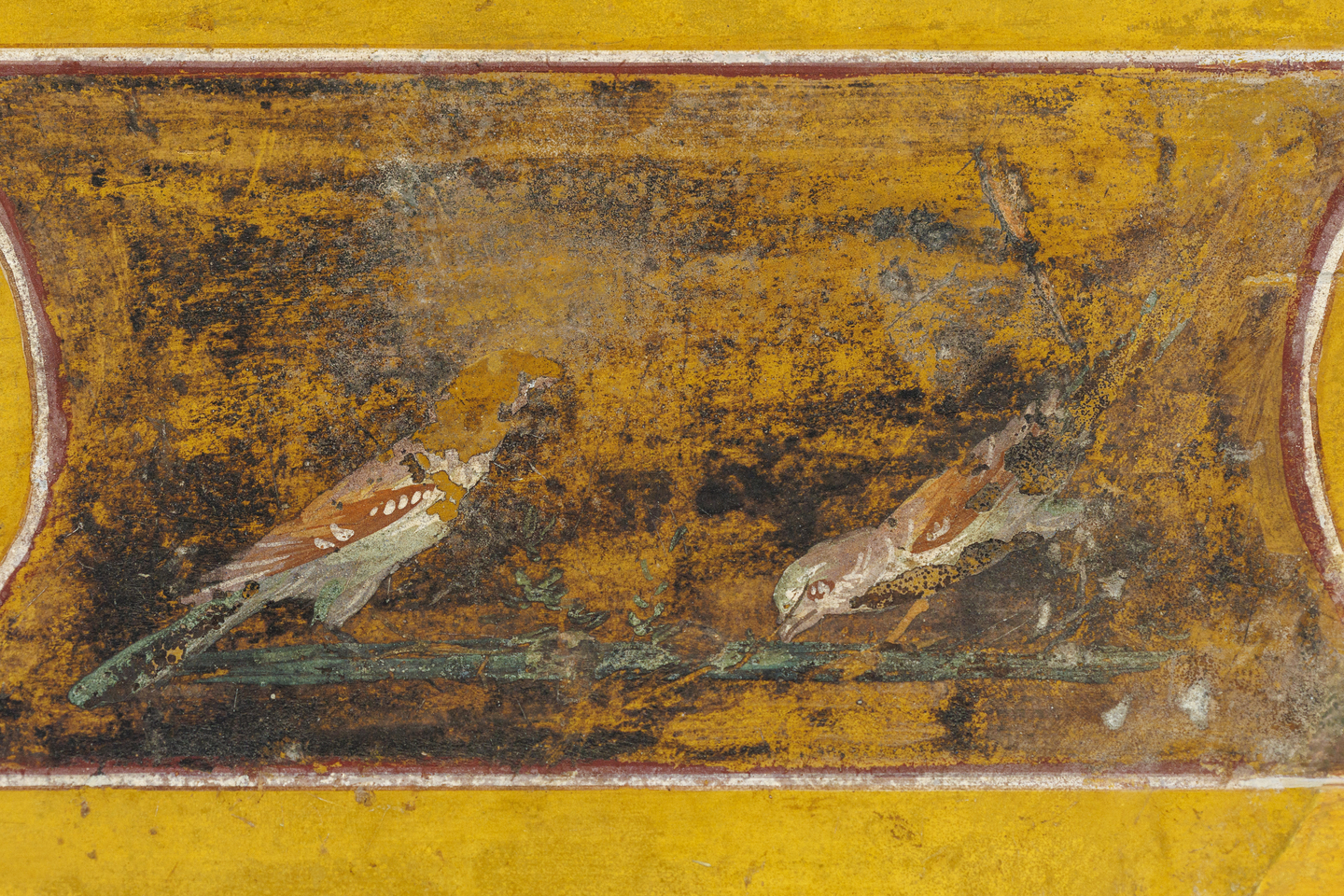 A close-up of a Wall Painting Fragment from the Villa at Boscotrecase, 10 BCE-1 BCE. Two small birds stand by water. The paint is aged but the colors are still bright. 