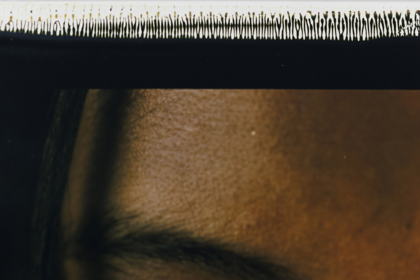 A close-up of the edge of  a photograph showing the dye process of a large-format Polaroid image. 