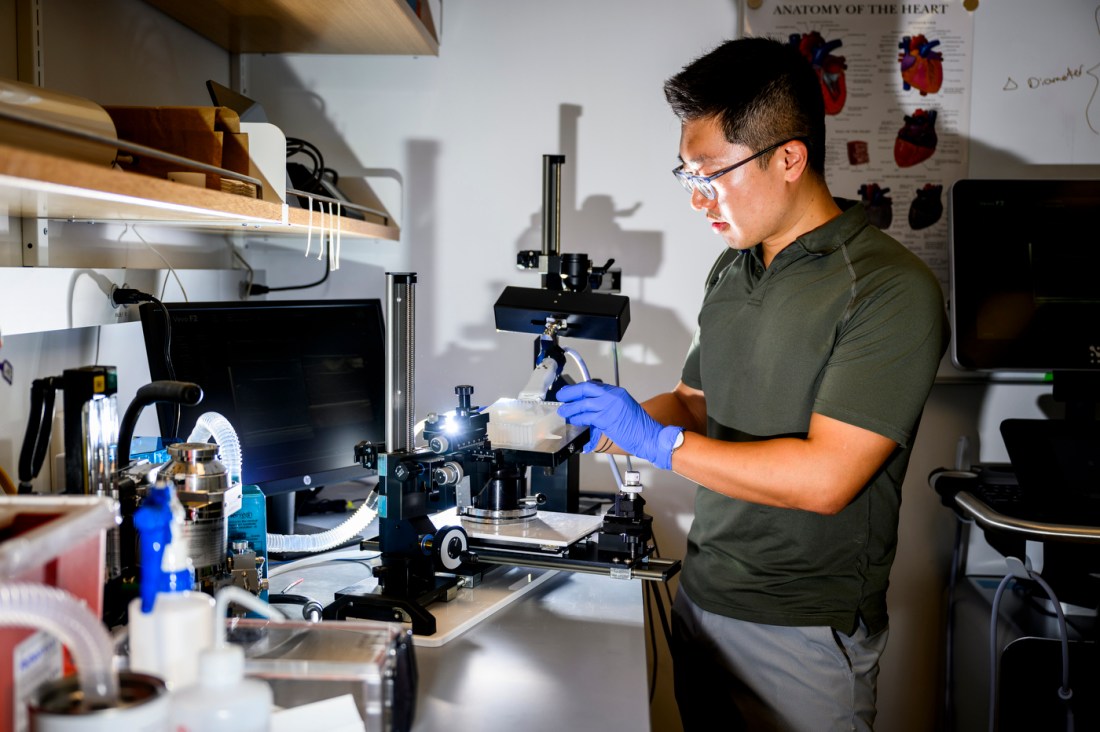 Tao Sun wearing glasses and a short sleeve green polo and blue latex gloves examining immune cells under a microscope.
