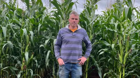 George Atwell A middle aged man dressed in a purple and black striped long sleeved polo shirt with an orange T-shirt underneath and blue jeans on stands in front of some growing corn with his hands on his hips. He has grey hair.