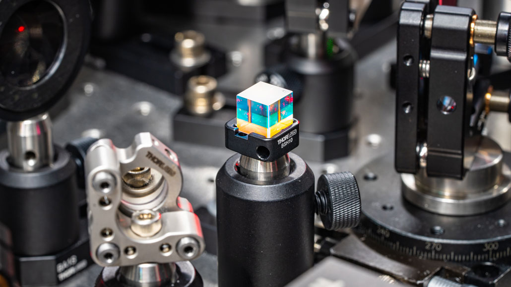 Lasers can eavesdrop on microbes, including viruses