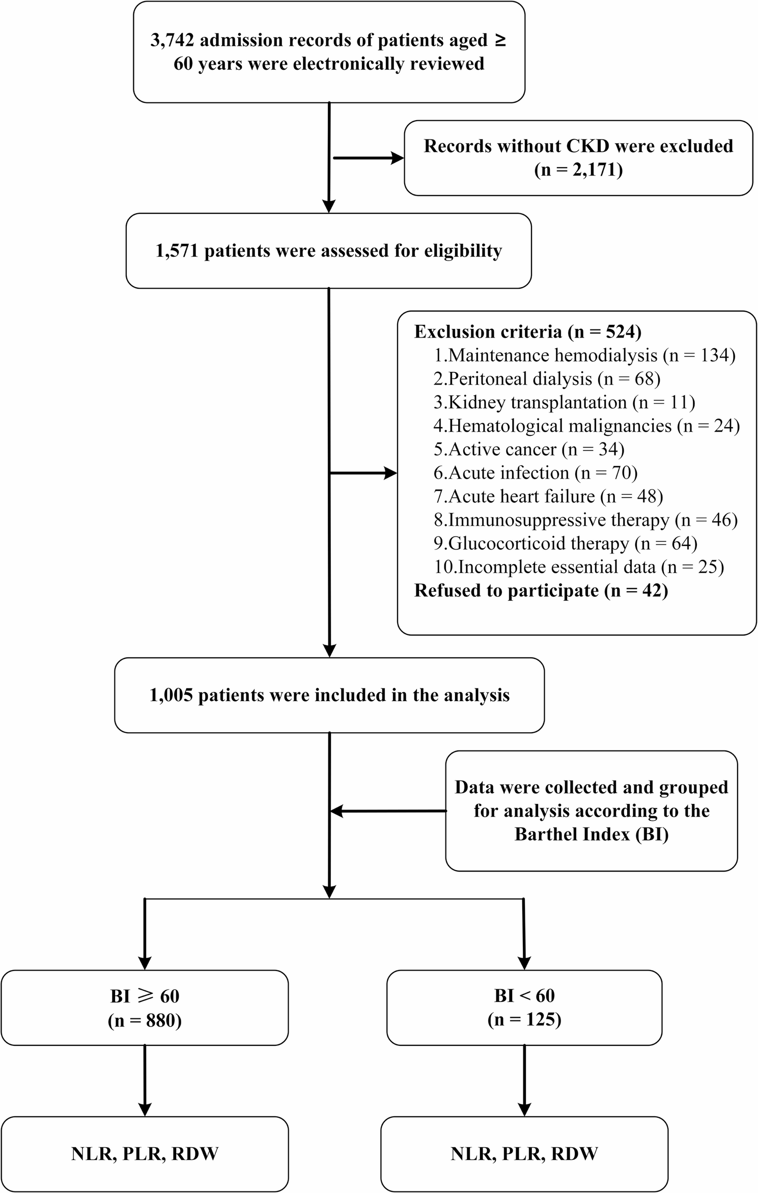 The association between neutrophil-to-lymphocyte ratio, platelet-to-lymphocyte ratio, red blood cell distribution width, and physical function in elderly non-dialysis patients with chronic kidney disease | BMC Geriatrics