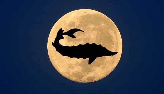 Sturgeon Moon 2025: The second full moon of summer