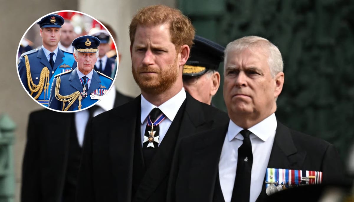 Prince Harry, Prince Andrew receive good news from King Charles, William