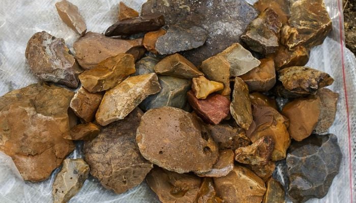 Ancient tools found in Indonesia may shed light on mystery of ‘Hobbit’ humans