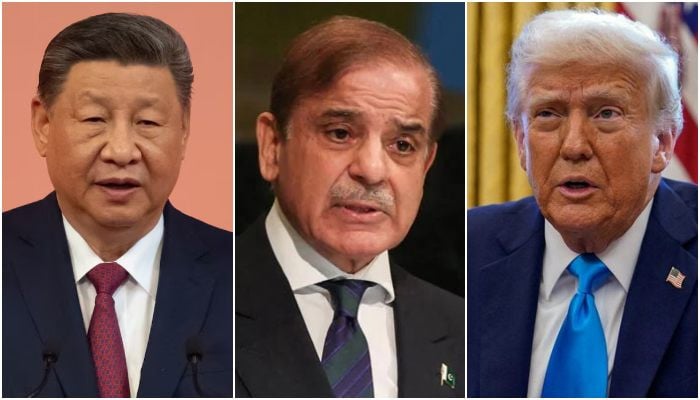 Balancing global alliances amid shifting geopolitics
