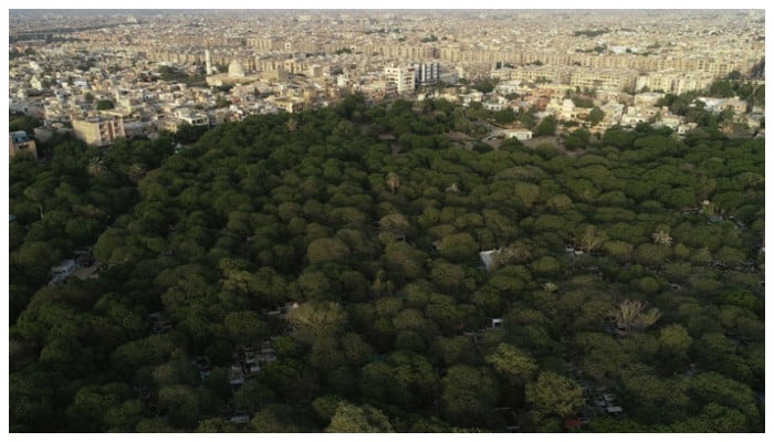 18% decline in forest cover over 33 years leaves Pakistan vulnerable to nature’s wrath