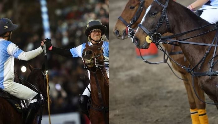 World’s first gene-edited horses to spark new in polo