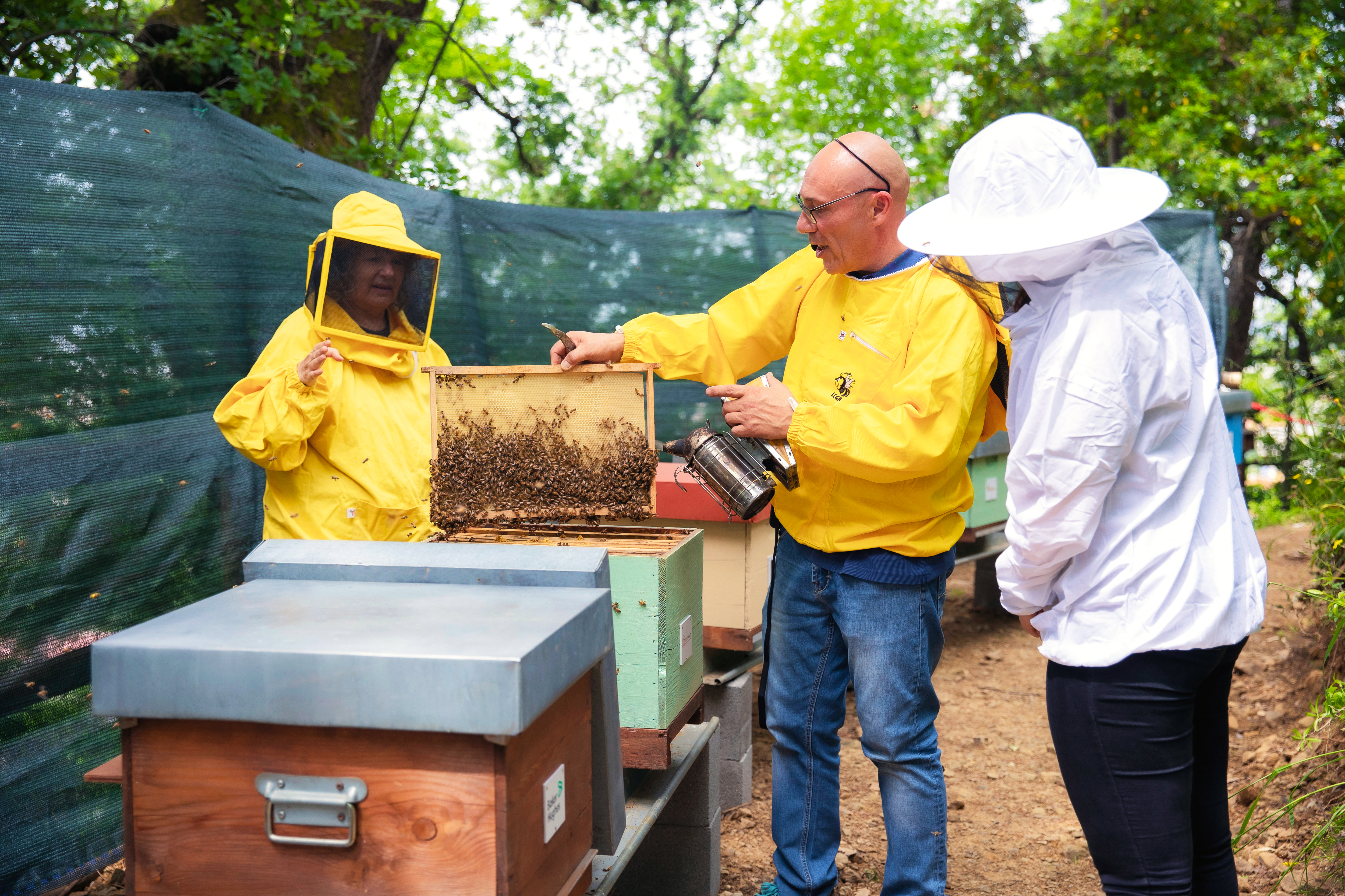 EFS_August 2025_beekeeper expert in Italy