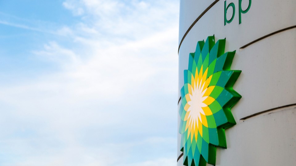 bp discovers its largest oil and gas field in more than 25 years – News