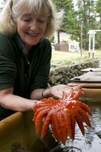 a person holds a sea star