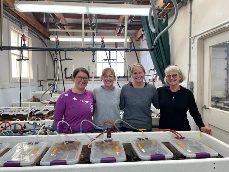 four people standing in a lab smiling. There are tanks containing sea stars in front of them. 