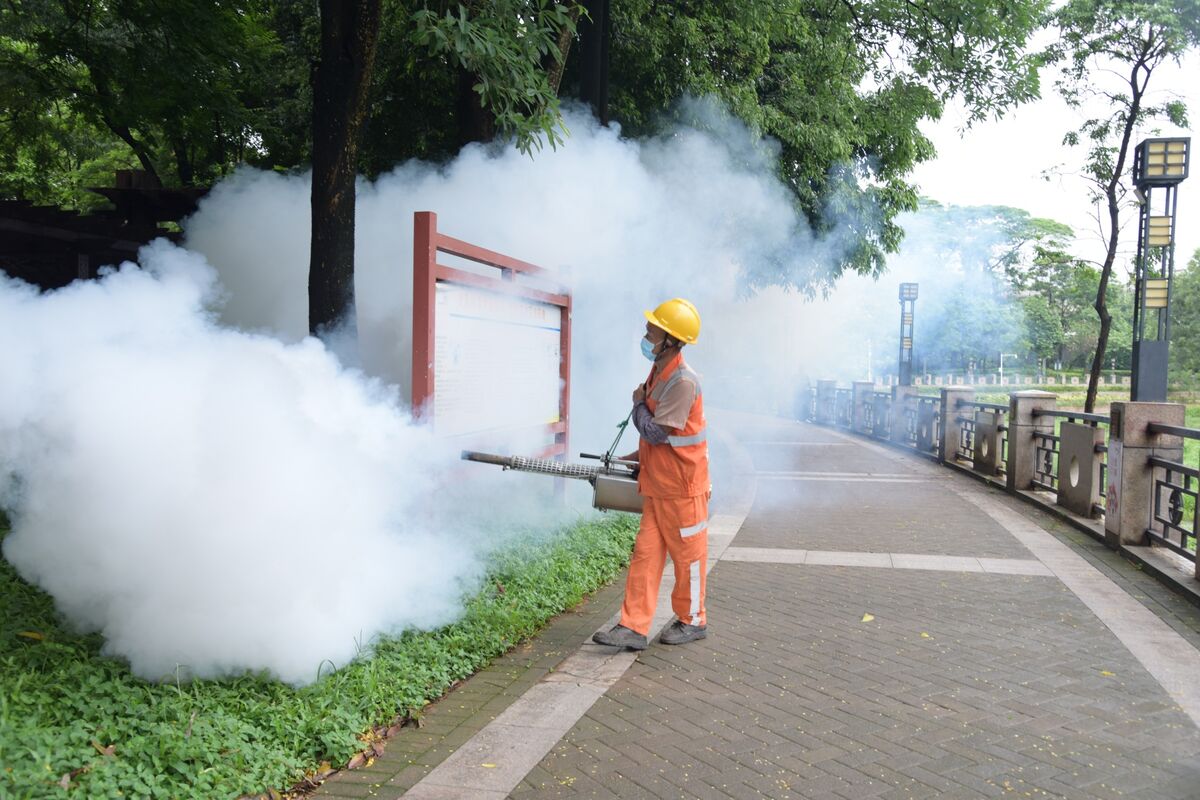 China Revives Covid-Era Measures to Battle Mosquito-Borne Virus