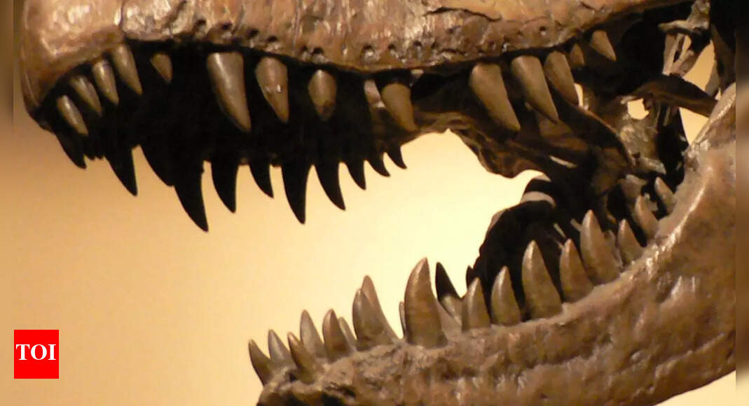 Dinosaur teeth used to recreate prehistoric air for the first time |