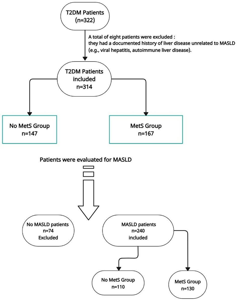 Predictive factors for metabolic syndrome in patients with metabolic dysfunction-associated steatotic liver disease (MASLD) | BMC Gastroenterology