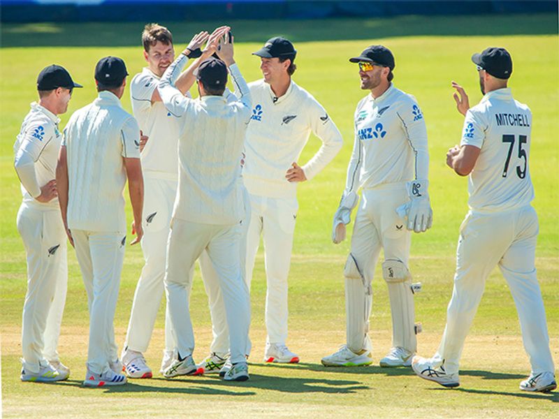 Tons by Conway, Rachin, Nicholls, historic bowling figures by Foulkes help NZ to a massive win over Zimbabwe in 2nd Test