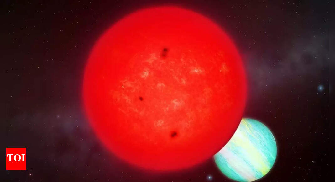 Giant planet found orbiting tiny star ‘should not exist’, astronomers say |
