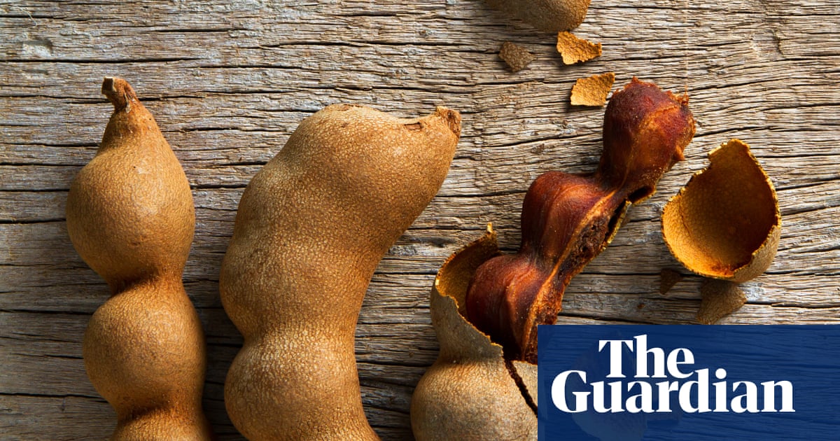 Sour power: how to use tamarind pods, pulp and paste | Herbs and spices