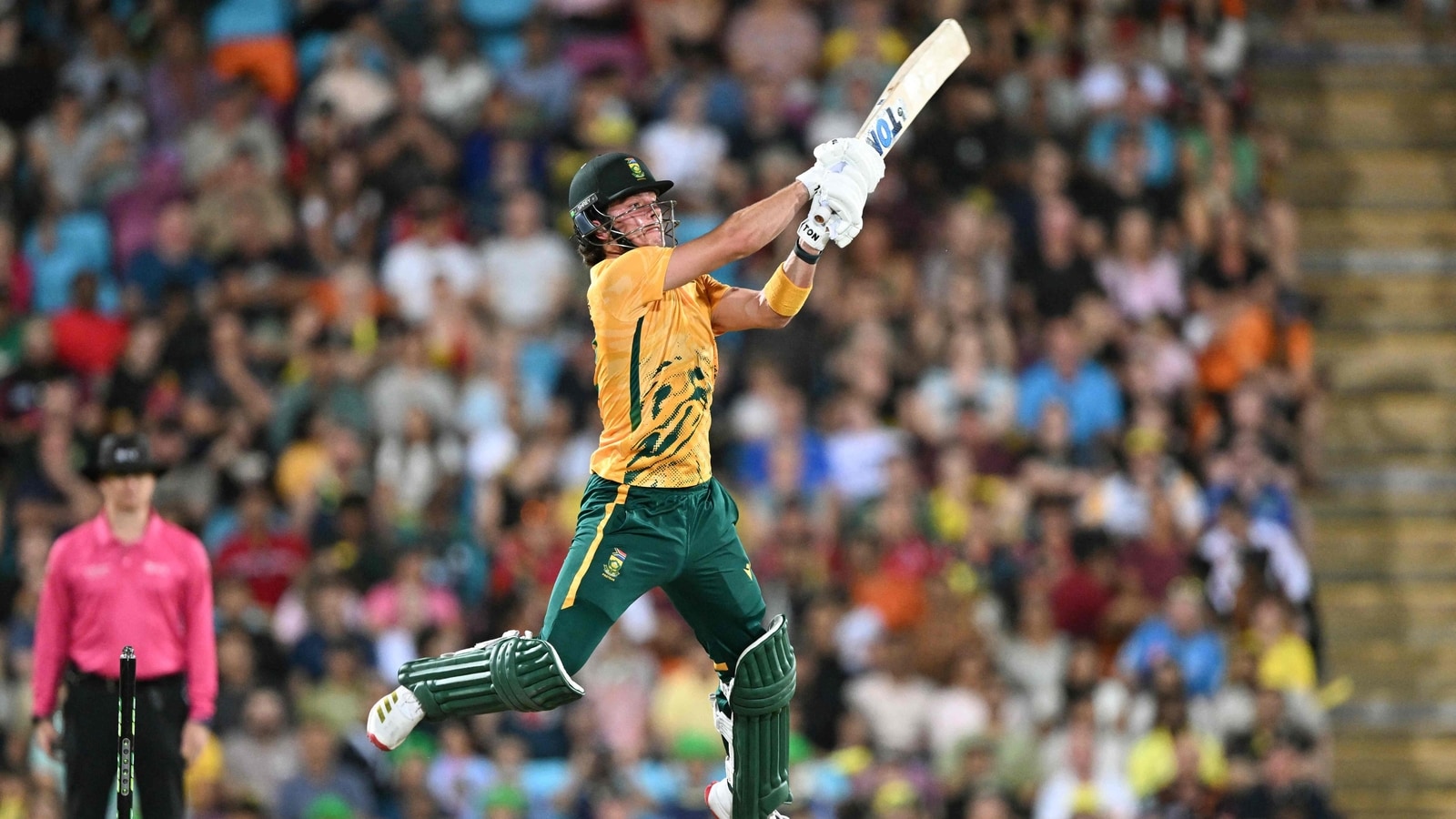 Dewald Brevis rewrites record books with a knock for ages, pips Faf du Plessis; achieves feat even AB de Villiers missed