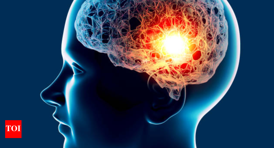 Creatine may do more than build muscle; it could help the brain fight Alzheimer’s