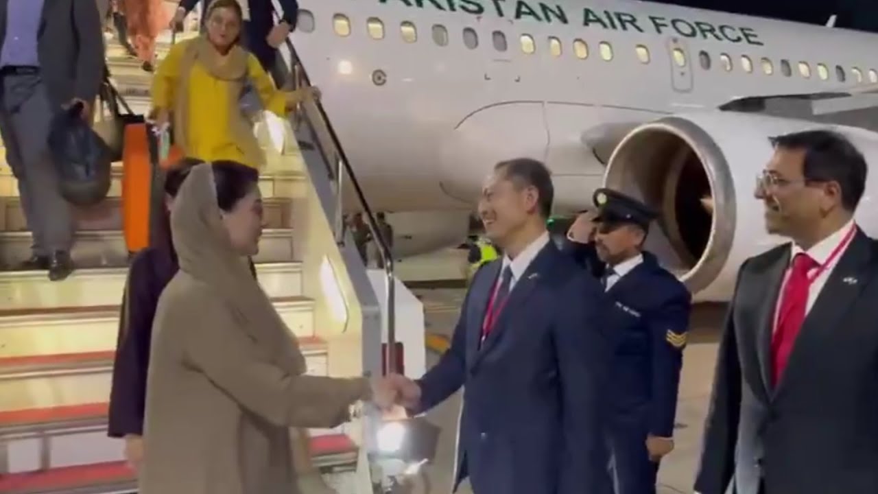 CM Punjab arrives in Japan