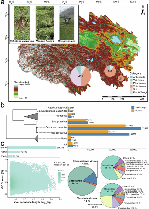 Virome characteristics of small mammals and their associated environments in pastoral areas on the Qinghai-Tibet Plateau