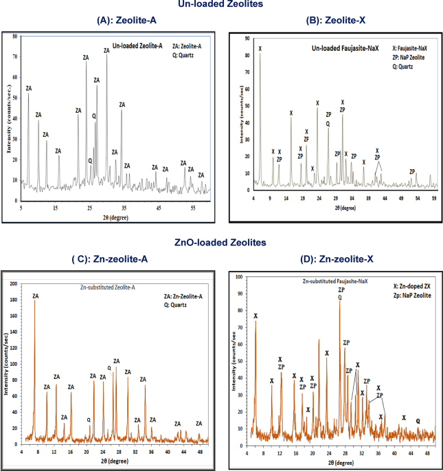 Synergistic insecticidal effects of zinc-loaded zeolite nanoparticles combined with essential oils against Callosobruchus maculatus