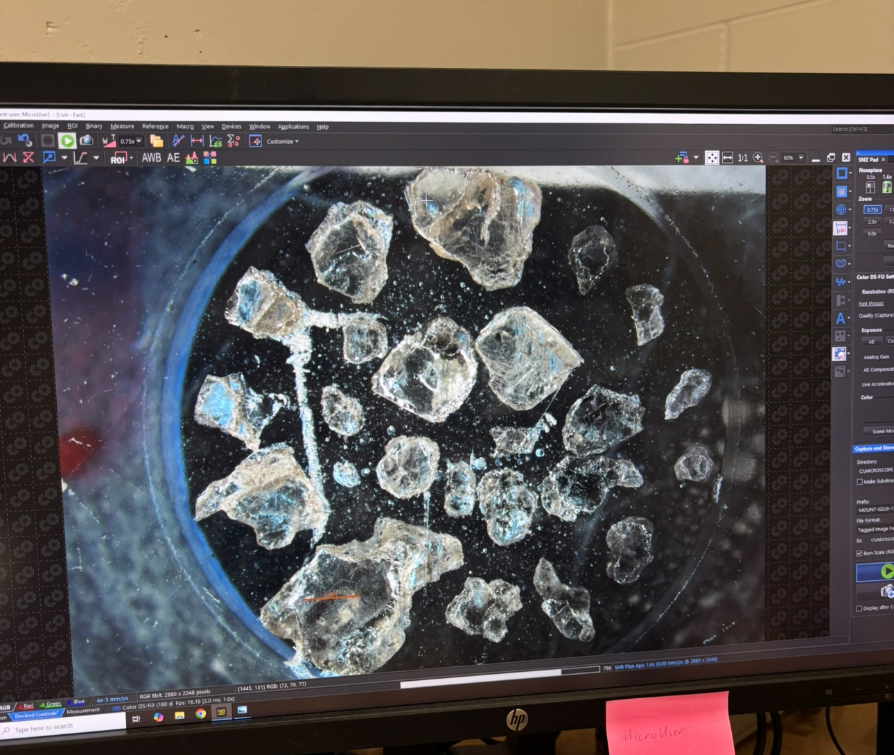 During her internship at Carnegie Science, senior geology major Kate Halpin researched the geochemistry of diamonds.