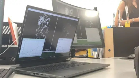 A view of screens showing luminosity data for two sets of microbes, one that has not been treated with an effective antibiotic (so it is lit up), and one that has been treated (so it remains dull).
