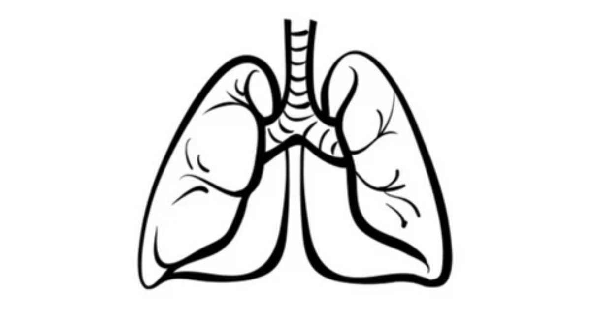 EBUS-TBNA Lung Biopsies Appear Safer, Adequate for Biomarker Testing