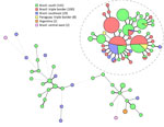 Minimum-spanning tree of isolates in study of Sporothrix brasiliensis treatment failure without initial elevated itraconazole MICs in felids at border of Brazil. Tree comprises 283 isolates, including 108 isolates based on 9 short tandem repeat markers from this study (red and yellow); green, blue, and pink indicate comparison isolates from previous studies; and numbers in the key represent the number of isolates from each location. Gray dashed circle indicates Rio de Janeiro clade. Regions of Brazil: south, Paraná, Rio Grande do Sul; southeast, Rio de Janeiro, Minas Gerais, São Paulo, Espírito Santo; central-west, Federal District.