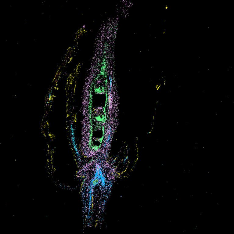 Scientists debut a new foundational atlas of the plant life cycle
